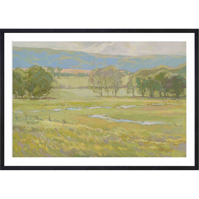 «Summer Pasture I» par Stephen Calcasola - reproduction d'art encadrée, H 32 po x l 48 po, Noir