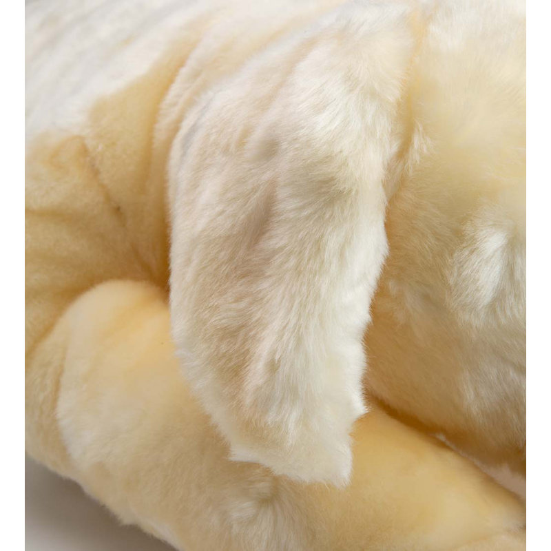 Coussin Labrador Retriever
