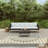 2 Piece Lounge Chair with Cushions-449018889-449018902