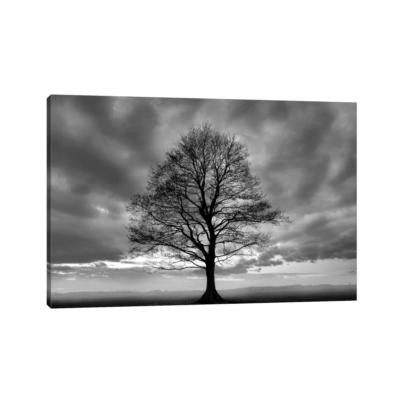Grand arbre - Estampe numérique sur toile tendue avec châssis, H 12 po x l 18 po