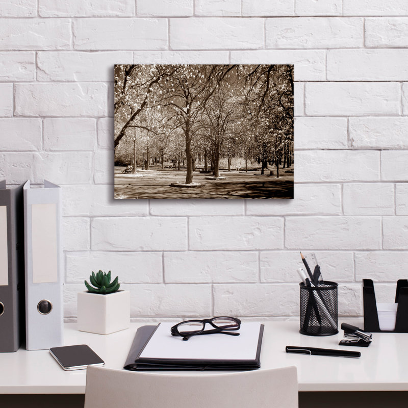 «Cherry Tree Park» par PhotoINC Studio, H 12 po x l 16 po x P 0,75 po