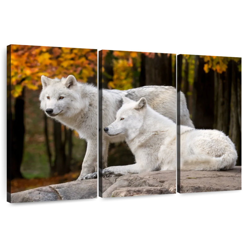 Brampt A Pair Of Arctic Wolves, 36" H x 57" W