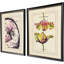 Le Fleur II Framed Art - Set of 2
