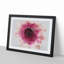 Heart of a Pink Gerbera in Abstract - Picture Frame Graphic Art Print-55763040-55763041