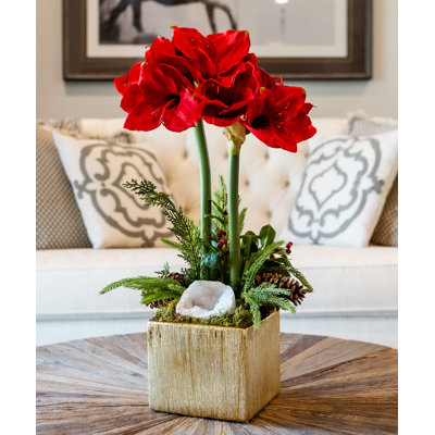 Amaryllis Arrangement in Vase