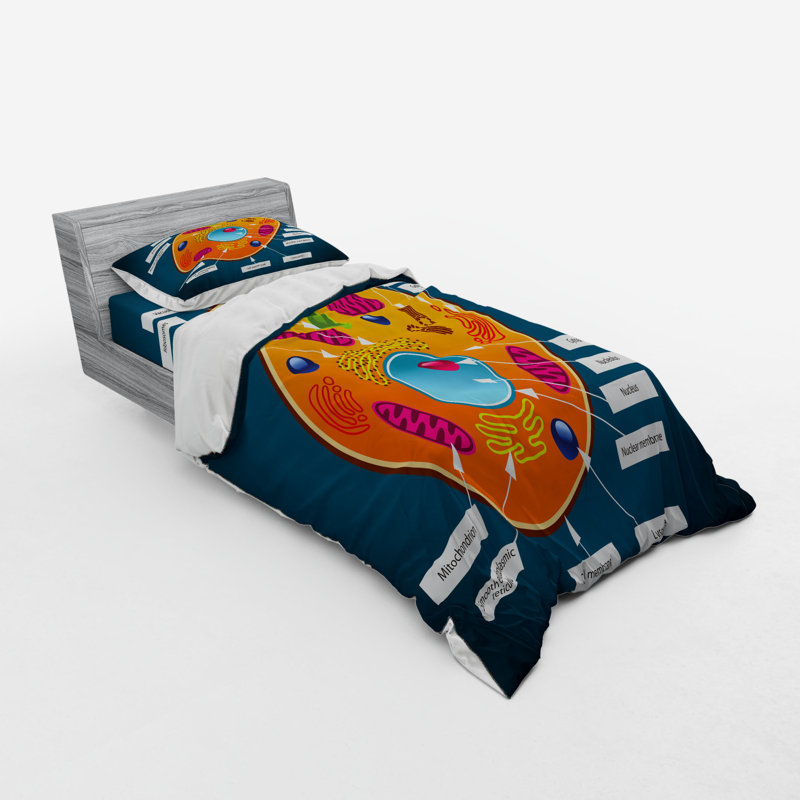 Modern & Contemporary Duvet Cover, Twin XL Duvet Cover + 2 Additional Pieces