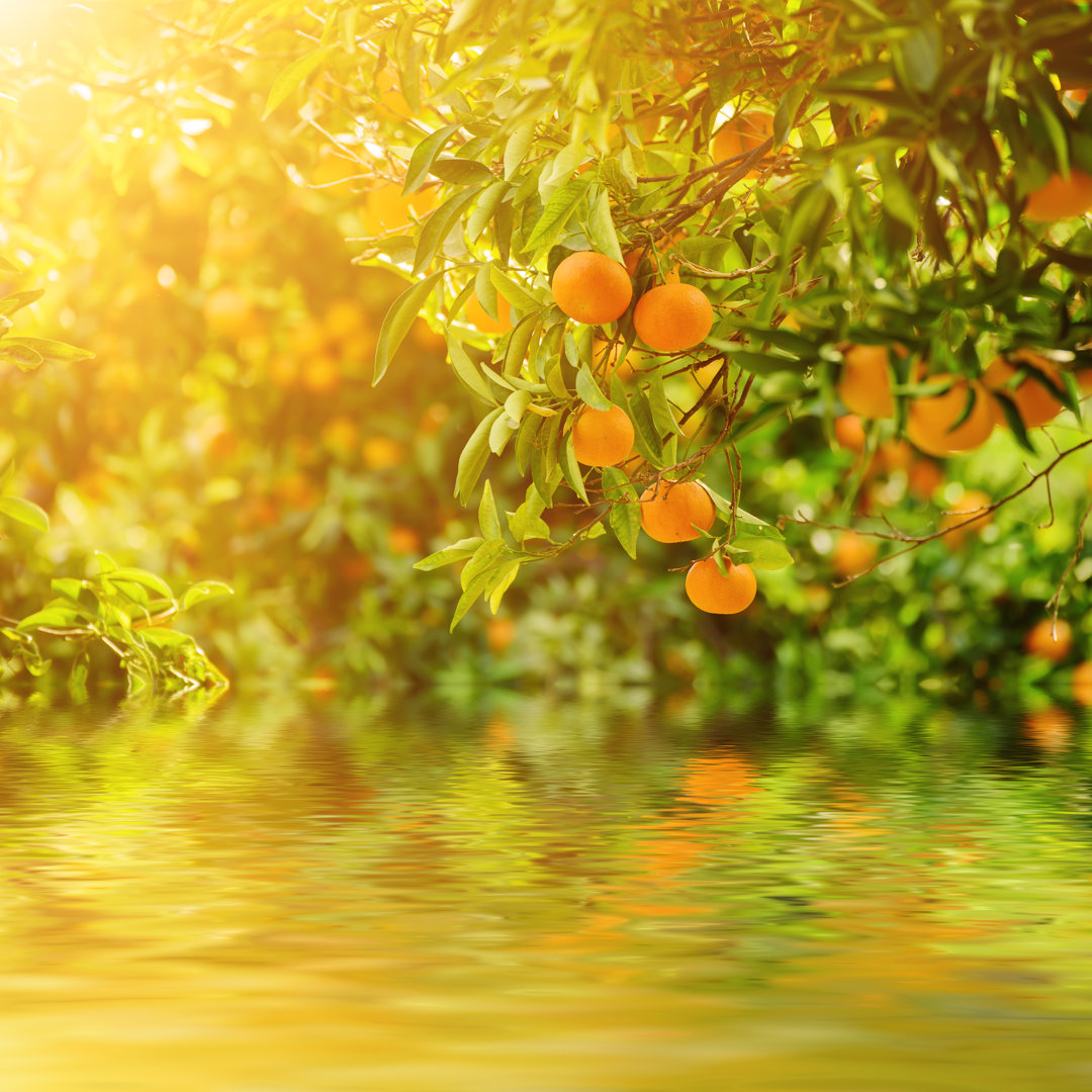 Sommerlandschaft von Roksana Bashyrova - Leinwandbild