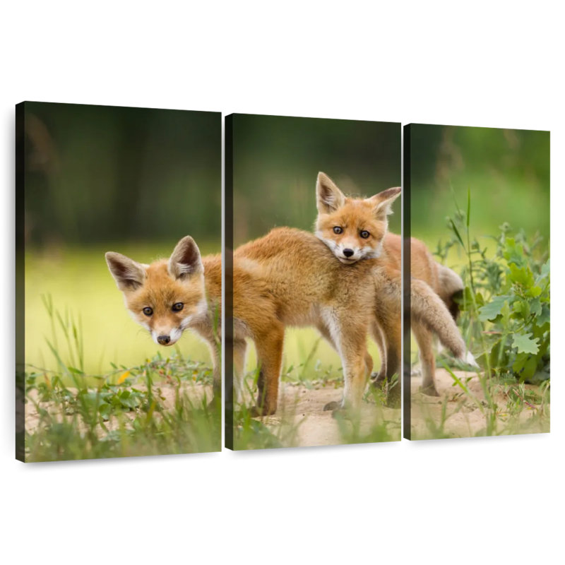 Brampt Fox Kits, 28" H x 45" W