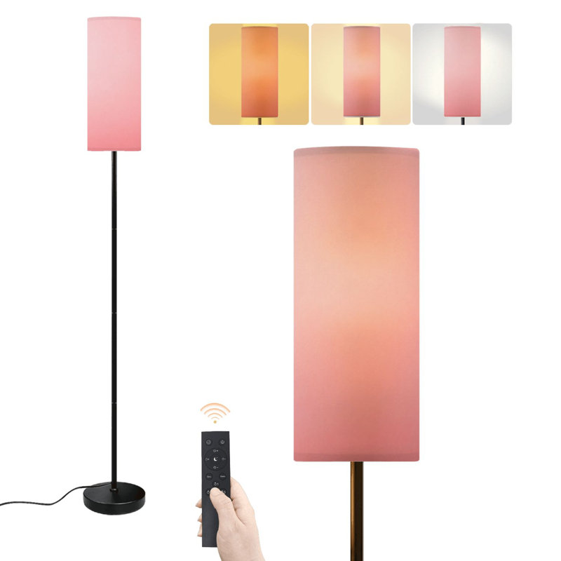 Lampe sur pied rose abstraite, style minimaliste, dégradé, intensité variable, avec télécommande et interrupteur au pied. Lampe de coin sur pied pour salon, chambre ou bureau.