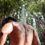 Pulsar 01 Freestanding Outdoor Shower with Hand Shower-56110423