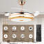 Ventilateur de plafond rétractable avec lumière DEL et télécommande