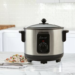 https://assets.wfcdn.com/im/71138518/resize-h310-w310%5Ecompr-r85/1171/117152675/Continental+Electric+5+Deep+Fryer+Accessory+with+Timer.jpg