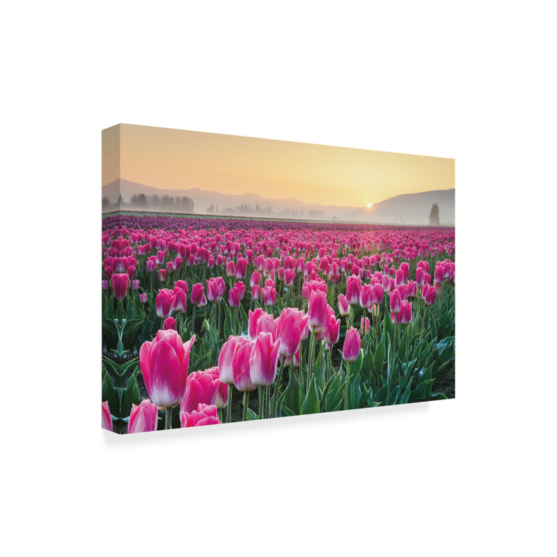 «Skagit Valley Tulips I» par Alan Majchrowicz - reproduction de photo sur toile, H 30 po x l 47 po x P 2 po