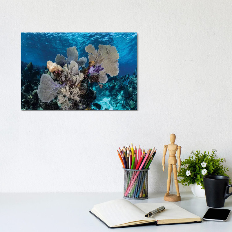 A Colourful Set Of Gorgonians On A Diverse Reef In The Caribbean Sea I by Ethan Daniels - Wrapped Canvas Gallery-Wrapped Canvas Giclée