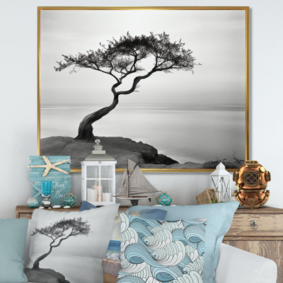 Avalon - plage et océan, reproduction d'art mural