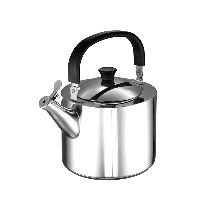 Bert Stainless Steel Stovetop Kettle