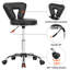 Backed Adjustable Height Ergonomic Lab Stool