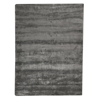 Hayner Viscose Indoor Rug