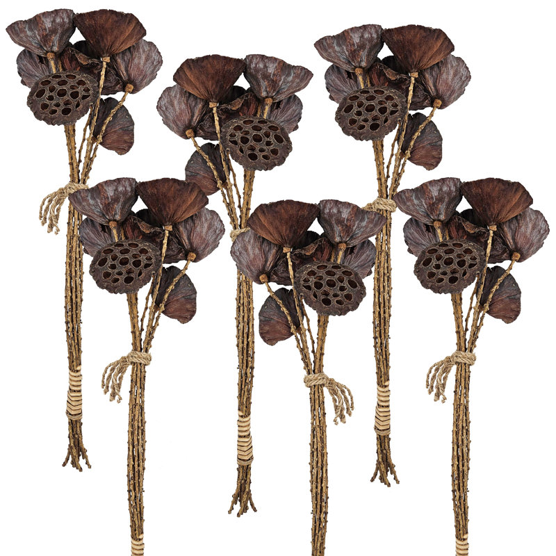 Rope Lotus Pod  Set of 6  23.5"  Natural