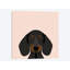Teckel i, impression sur toile tendue-19741711-74753031-74753032
