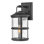 Black Black 1 - Bulb 14.5" H Outdoor Wall Lantern