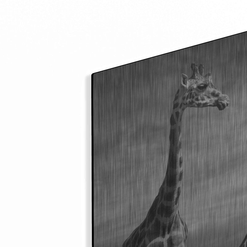 "Twister Sister" par Dariusz Klimczak, H 12 po x l 12 po