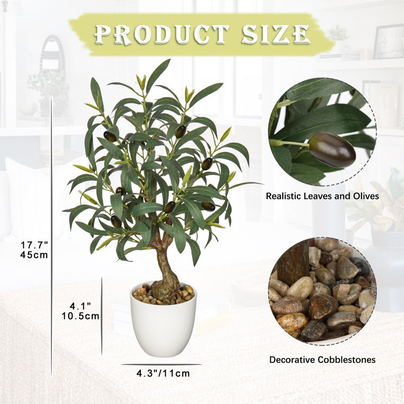 17,7 plante