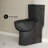 Classe One-Piece 12" Rough-In 1.1/1.6 GPF Dual Top Flush Toilet In Matte Black