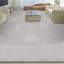 Neo Oriental Area Rug