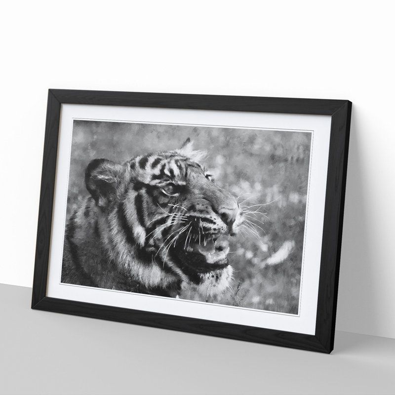 Tiger Vol.4 - Picture Frame Graphic Art, Black, 27cm H x 36cm W x 2cm D