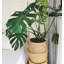 Laundry Room Organiser