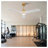 52 Inch Indoor Ceiling Fan With Dimmable LED Light 3 Solid Wood Blades Remote Control Reversible DC Motor