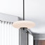 Caio Matte Black Pendant Light With Oval Disc Frosted Glass Shade-1995833820