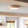 Elodie LED Flush Mount