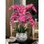 Phalaenopsis Orchids Centerpiece in Vase