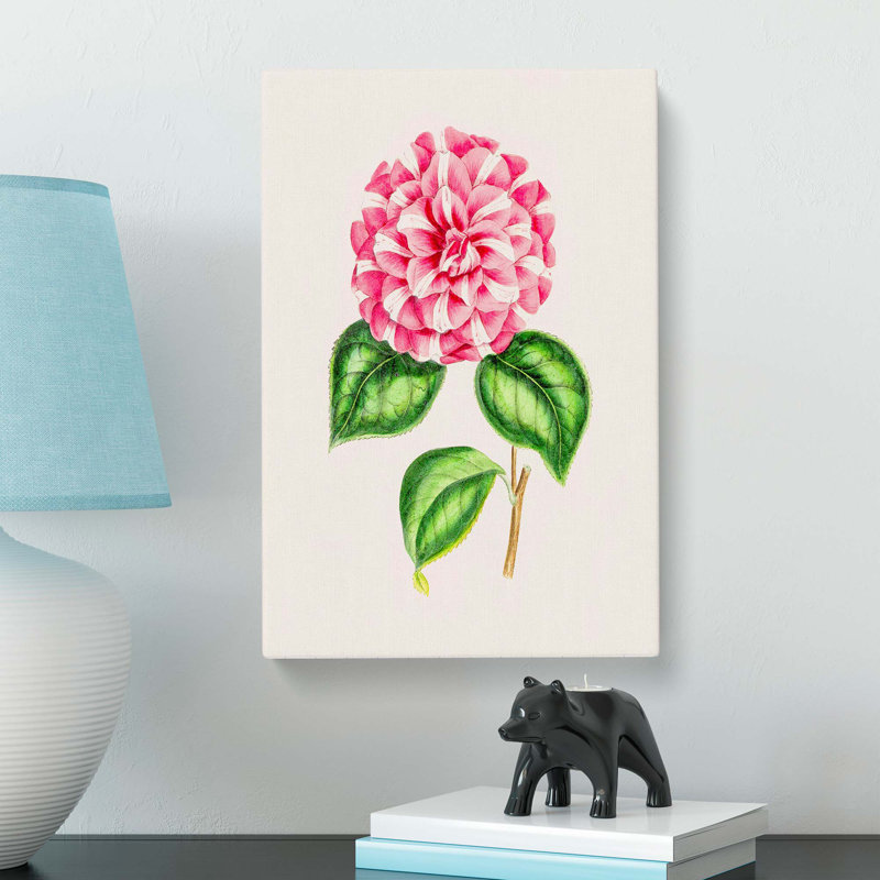 Pink Queen Victoria Camellia Illustration - Wrapped Canvas Painting Print, 76cm H x 50cm W x 3cm D