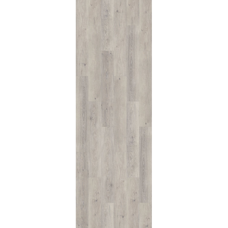 Essentials 8-in W x 48-in L x 11.6mm Oak Laminate Flooring