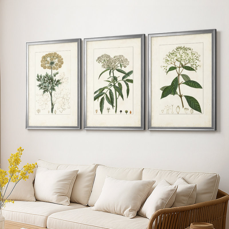 Antique Turpin Botanical VII - Toile tendue avec châssis sur mesure - 3 pièces, H 27 po x l 39 po, Argent argent