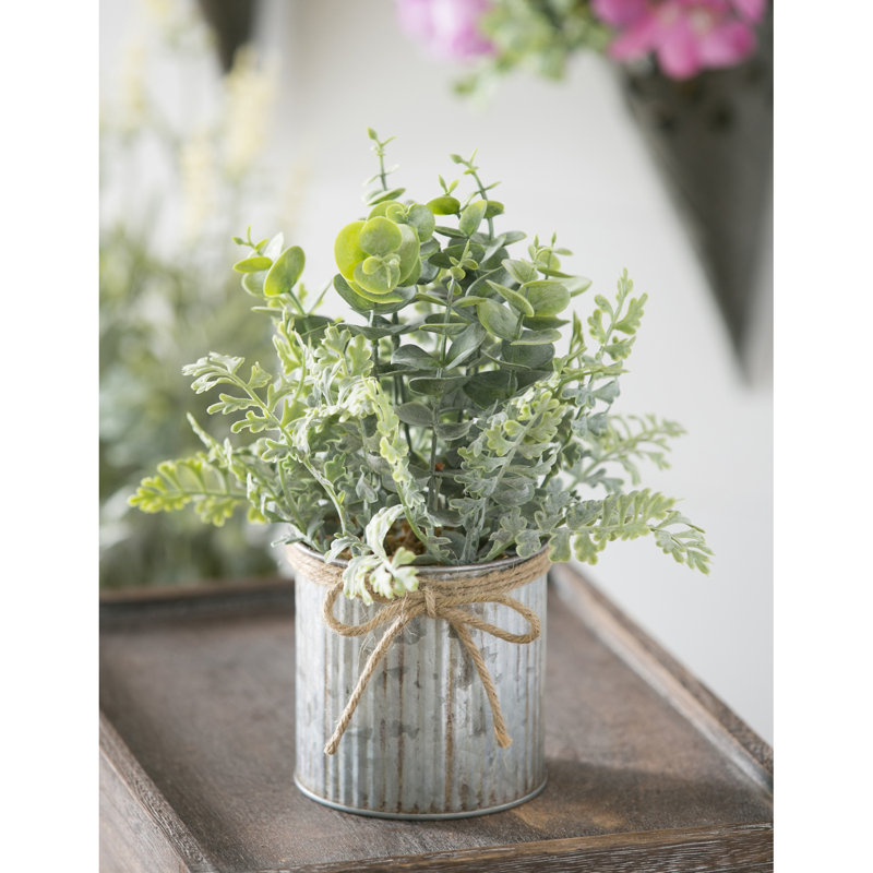 Plante eucalyptus artificielle 5 po en pot