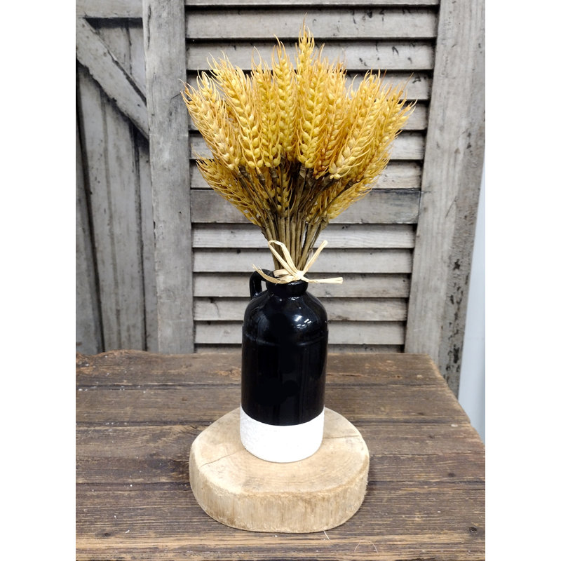 10 plantes