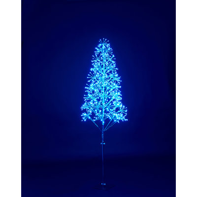Lighted Trees & Branches