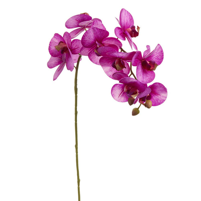 Orchidée phalaenopsis 30 po violet x 9 (2 tiges par boîte)