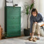 Green Solid wood Shoe Storage