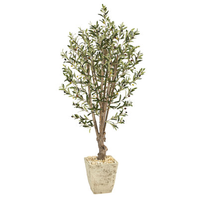 60'' Faux Olive Tree Tree in Planter