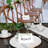 Paper Backdrops & Signs
