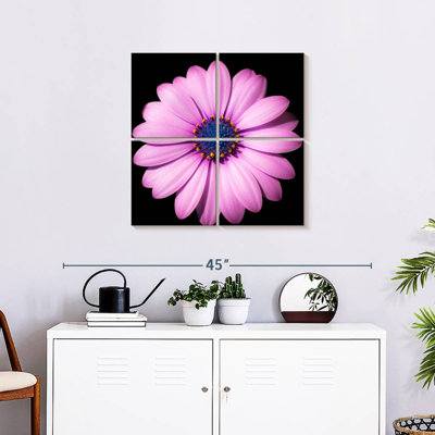 Marguerite rose