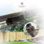 NETTA 45M Rotary Washing Line