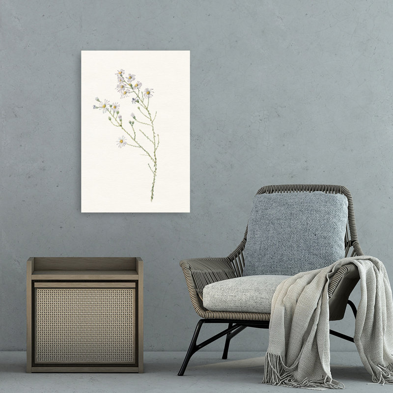 Délicat, fleurs blanches délicates, abstrait, aster marguerite abstraite, art mural nature, 36" H x 24" W