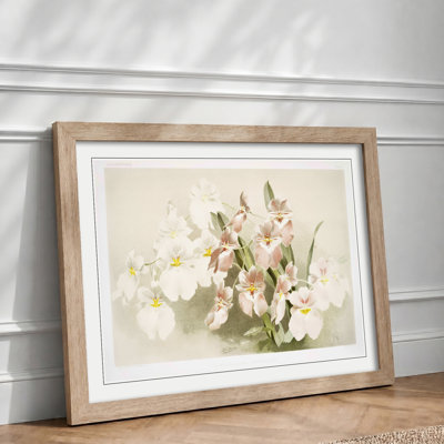 Magnolia Flowers Illustration Tab. 29 by Frederick Sander - Picture Frame Painting Print