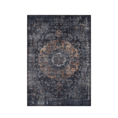 Alesio Oriental Area Rug